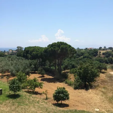Koukounaries Lägenhet Skala (Kefalonia)