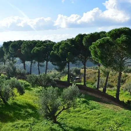 Appartamento Koukounaries Skala (Kefalonia)