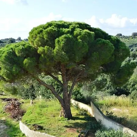 Koukounaries Apartmán Skala (Kefalonia)